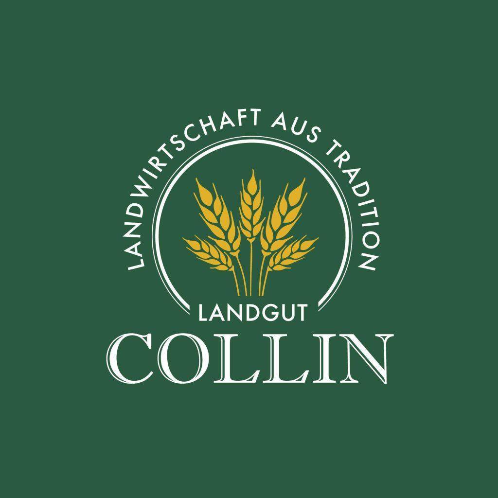 Grafik_Design-Delitzsch-Logo_collin